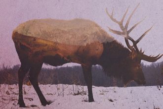 andreas lie via andreaslie.com